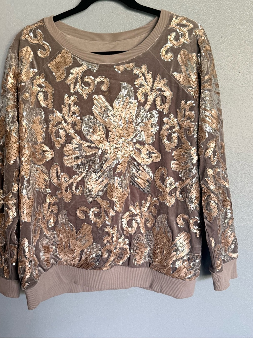 Soft Surroundings Taupe Sweatshirt with Gold and Silver Sequins